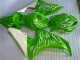 Carenados Moto CBR 1000 RR 06-07 - Verde Carenados Moto CBR 1000 RR 06-07 - Verde