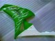 Carenados Moto CBR 1000 RR 06-07 - Verde Carenados Moto CBR 1000 RR 06-07 - Verde
