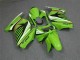 Carenados Moto EX250 08-12 - Verde Blanco Negro Ninja Carenados Moto EX250 08-12 - Verde Blanco Negro Ninja