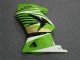 Carenados Moto EX250 08-12 - Verde Blanco Negro Ninja Carenados Moto EX250 08-12 - Verde Blanco Negro Ninja
