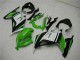 Carenados Moto EX300 13-16 - Verde Negro Plata Carenados Moto EX300 13-16 - Verde Negro Plata