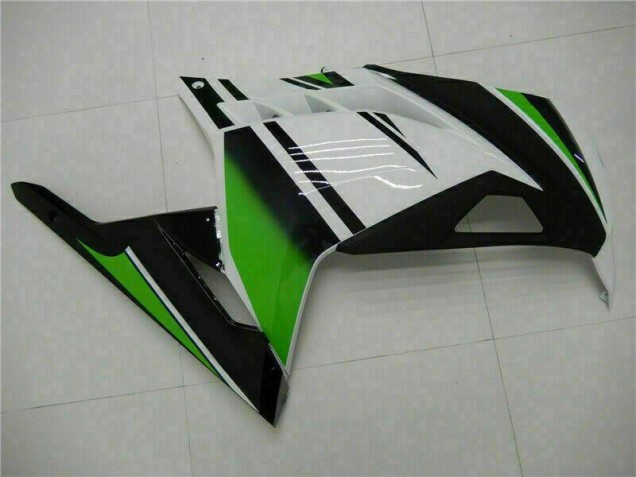 Carenados Moto EX300 13-16 - Verde Negro Plata Carenados Moto EX300 13-16 - Verde Negro Plata