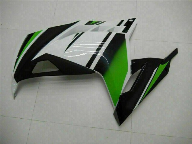 Carenados Moto EX300 13-16 - Verde Negro Plata Carenados Moto EX300 13-16 - Verde Negro Plata