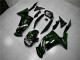 Carenados Moto EX650 06-08 - Verde Llama Carenados Moto EX650 06-08 - Verde Llama