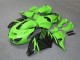 Carenados Moto ZX14R ZZR 1400 06-11 - Verde Negro