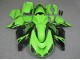 Carenados Moto ZX14R ZZR 1400 06-11 - Verde Negro