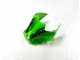 Carenados Moto ZX14R ZZR 1400 12-21 - Verde Negro Carenados Moto ZX14R ZZR 1400 12-21 - Verde Negro