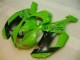 Carenados Moto ZX6R 07-08 - Verde Negro Dunlop Carenados Moto ZX6R 07-08 - Verde Negro Dunlop