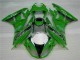 Carenados Moto ZX6R 09-12 - Verde Negro LeoVince Carenados Moto ZX6R 09-12 - Verde Negro LeoVince