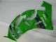 Carenados Moto ZX6R 09-12 - Verde Negro LeoVince Carenados Moto ZX6R 09-12 - Verde Negro LeoVince