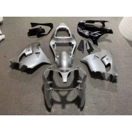 Carenado & Plástico Moto ZX9R 02-03 - Plata Brillante Negro
