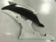 Carenados Moto R6 08-16 - Blanco Carenados Moto R6 08-16 - Blanco