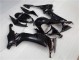 Carrocería Motocicletas ZX10R 08-10 - Brillante Negro Carrocería Motocicletas ZX10R 08-10 - Brillante Negro