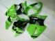 Inyección Kit Carenados Moto ZX6R 00-02 - Verde Negro Inyección Kit Carenados Moto ZX6R 00-02 - Verde Negro