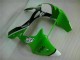 Inyección Kits Carenados Moto ZX6R 00-02 - Verde Negro Inyección Kits Carenados Moto ZX6R 00-02 - Verde Negro
