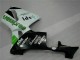Kit Carenado ABS Completo CBR 600 RR 05-06 - Verde Kit Carenado ABS Completo CBR 600 RR 05-06 - Verde