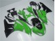 Kit Carenado ABS Completo ZX6R 09-12 - Verde Negro Kit Carenado ABS Completo ZX6R 09-12 - Verde Negro