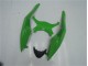 Kit Carenado ABS Completo ZX6R 09-12 - Verde Negro Kit Carenado ABS Completo ZX6R 09-12 - Verde Negro