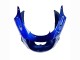 Carenados Moto Kawasaki ZZR1100 1993-2003 - Azul Plata Negro