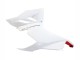 Carenados Moto Ducati Panigale V2 2020-2024 - Blanco Rojo Negro Mate