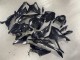 Carenados Moto BMW S1000RR 2023-2024 - Negro Brillante FibraCarbono