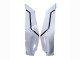 Carenados Moto Kawasaki ZX10R 2021-2025 - Blanco Negro