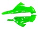 Carenados Moto Kawasaki EX300 2013-2024 - Verde Plata Negro