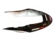 Carenados Moto Honda CBR600 F4i 2004-2007 - Blanco Negro Brillante Rojo Repsol