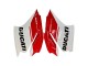 Carenados Moto Ducati 1299 2015-2020 - Blanco Rojo Verde Negro Mate
