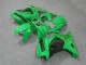 Carenados Moto Kawasaki EX250 2008-2012 - Verde Negro