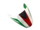 Carenado Moto Ducati Monster 696 796 1100 1100S 2008-2012 - Blanco Rojo Verde