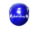 Carenados Moto Honda CBR1000RR 2008-2011 - Blanco Rojo Azul Negro Estrella Lee Carrera
