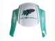 Carenados Moto Honda CBR600RR 2005-2006 - Verde Claro Blanco Negro Brillante Joe Rocket