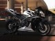 Carenados Moto Honda CBR600RR 2007-2008 - Blanco Negro Carrera