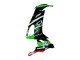 Carenados Moto Kawasaki ZX10R 2008-2010 - Verde Blanco Rojo Negro Monstruo Elf 66