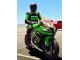 Carenados Moto Kawasaki ZX10R 2011-2015 - Verde Amarillo Blanco Negro Rojo Pirelli