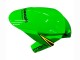 Carenados Moto Kawasaki ZX10R 2016-2020 - Verde Amarillo Rojo Negro Elf Monstruo