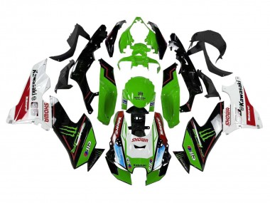 Carenados Moto Kawasaki ZX10R 2021-2025 - Verde Negro Blanco Rojo Azul Showr Elf Monstruo