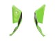 Carenados Moto Kawasaki ZX10R 2021-2025 - Verde Negro Rojo