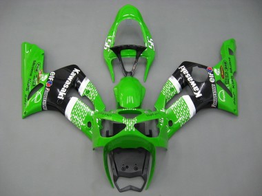 Carenados Moto Kawasaki ZX6R 2003-2004 - Verde Blanco Negro Elf Bridgestone