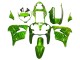 Carenados Moto Kawasaki ZX9R 2000-2001 - Verde Llama