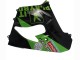 Carenados Moto Kawasaki ZX9R 2000-2001 - Verde Negro Playboy DENSO