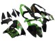 Carenados Moto Kawasaki ZX9R 2000-2001 - Verde Negro Playboy DENSO