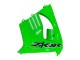 Carenados Moto Kawasaki ZX9R 2000-2001 - Verde