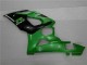 Plástica Moto GSXR 1000 K5 05-06 - Verde Plástica Moto GSXR 1000 K5 05-06 - Verde