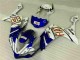 Plástico Moto R1 07-08 - Azul Plástico Moto R1 07-08 - Azul